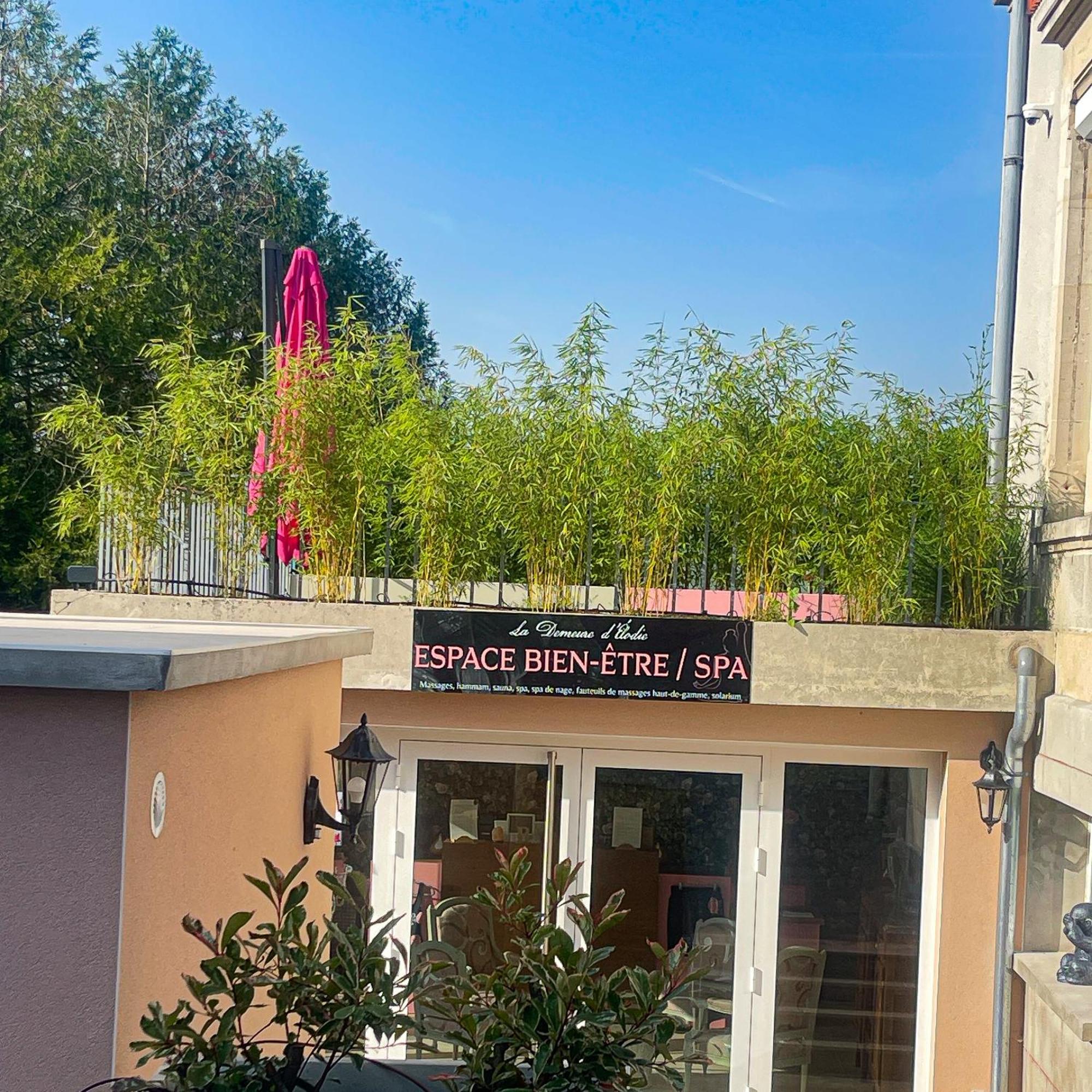 La Demeure D'Elodie Epernay Exterior photo